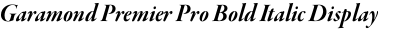 Garamond Premier Pro Bold Italic Display